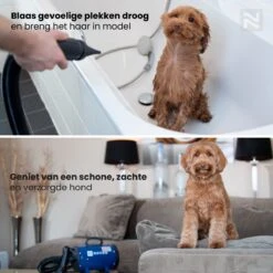 Nuvoo Professionele Hondenföhn / Waterblazer / Hondenborstel Met 3 Opzetstukken - Verstelbare Vermogen Tot 2200W - Warme / Koude Stand - Blauw 16 Nuvoo Professionele Hondenföhn / Waterblazer / Hondenborstel Met 3 Opzetstukken - Verstelbare Vermogen Tot 2200W - Warme / Koude Stand - Blauw -Merkloos Winkel 1200x1200 224