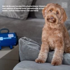 Nuvoo Professionele Hondenföhn / Waterblazer / Hondenborstel Met 3 Opzetstukken - Verstelbare Vermogen Tot 2200W - Warme / Koude Stand - Blauw 20 Nuvoo Professionele Hondenföhn / Waterblazer / Hondenborstel Met 3 Opzetstukken - Verstelbare Vermogen Tot 2200W - Warme / Koude Stand - Blauw -Merkloos Winkel 1200x1200 226