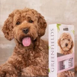 Greenfields Labradoodle Vacht Verzorgingsset - Shampoo En Anti-Klit Spray Voor Langharige Of Krullende Vacht -Merkloos Winkel 1200x1200 229