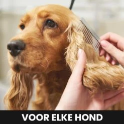 Hondentondeuse - Honden & Katten - Trimmer - Geluidsloos -Merkloos Winkel 1200x1200 259