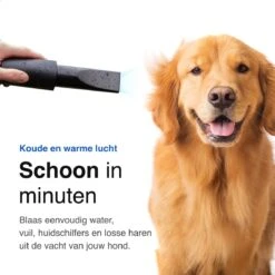 Vivid Green Waterblazer Met 3 Opzetstukken - Hondenfohn - Voor Honden - Met Geluiddemper - 2800W -Merkloos Winkel 1200x1200 26