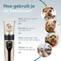 BYER Professionele Dieren Tondeuse Set - Voor Huisdieren Katten & Honden - Draadloos - Oplaadbare Pet Trimmer - Dog Tondeuze Clipper - 5 Standen & Vier Opzetkammen - Low Noise 17 BYER Professionele Dieren Tondeuse Set - Voor Huisdieren Katten & Honden - Draadloos - Oplaadbare Pet Trimmer - Dog Tondeuze Clipper - 5 Standen & Vier Opzetkammen - Low Noise -Merkloos Winkel 1200x1200 264