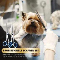 BeautyFit - 16-delig Hondentondeuse Set - Professionele Honden Trimset - Dieren Tondeuse Voor Dikke Vacht - Meest Complete Set - Inclusief 4 Opzetkammen - Hondenschaar - Mist Verstuiver - Handschoen Borstel - Nagelknipper -Merkloos Winkel 1200x1200 267