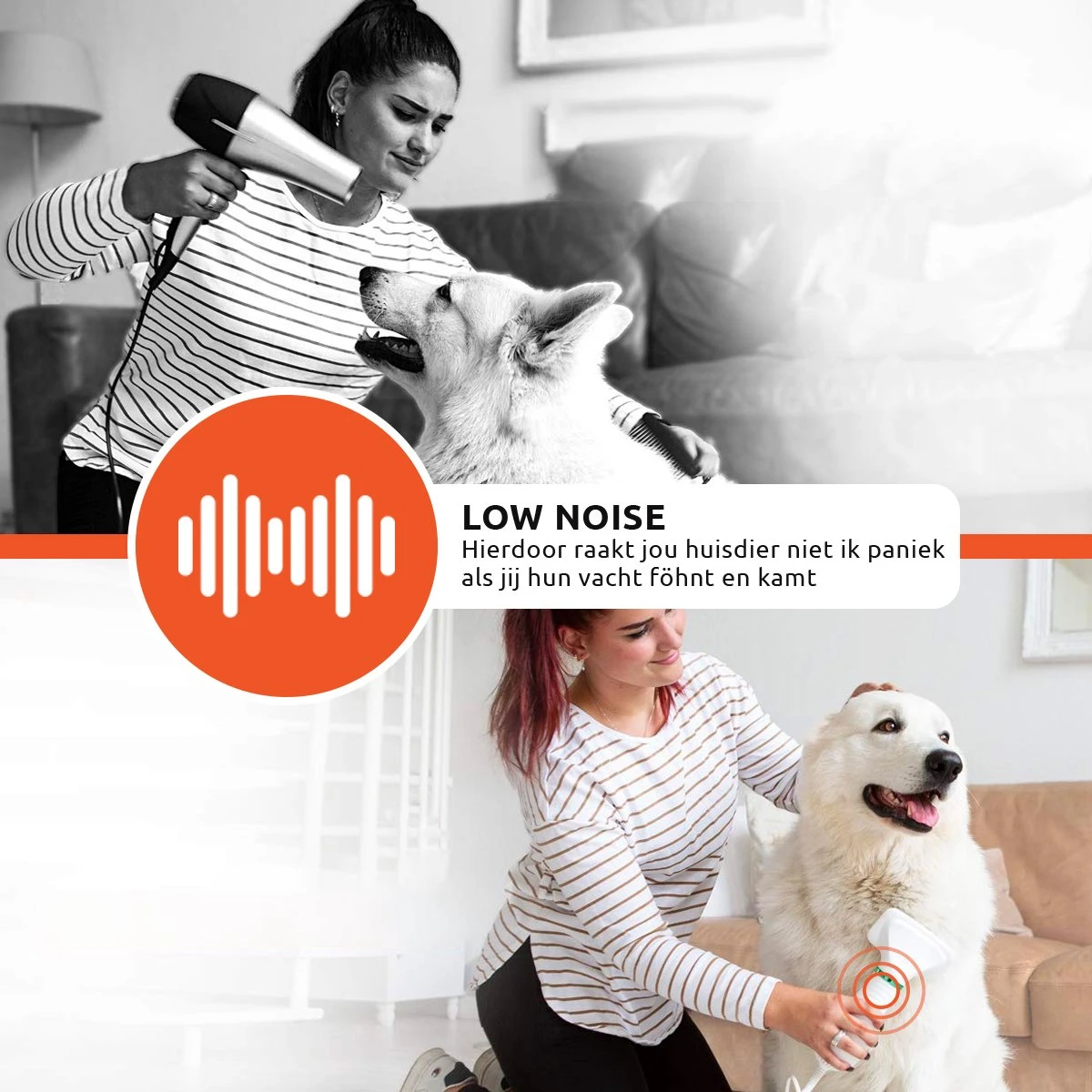 PetGoods 2-in-1 Hondenföhn – Föhn & Borstel - Honden & Katten - Low Noise 8 PetGoods 2-in-1 Hondenföhn – Föhn & Borstel - Honden & Katten - Low Noise - Afbeelding 6