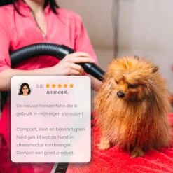 Qumax Professionele Hondenföhn Met 4 Opzetstukken – Waterblazer Voor Honden – Stil Design – Compact En Modern - Zwart -Merkloos Winkel 1200x1200 309