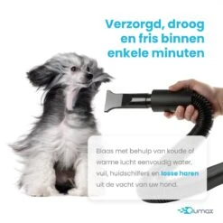 Qumax Professionele Hondenföhn Met 4 Opzetstukken – Waterblazer Voor Honden – Stil Design – Compact En Modern - Zwart -Merkloos Winkel 1200x1200 310