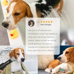 Qumax Professionele Hondenföhn Met 4 Opzetstukken – Waterblazer Voor Honden – Stil Design – Compact En Modern - Zwart -Merkloos Winkel 1200x1200 311