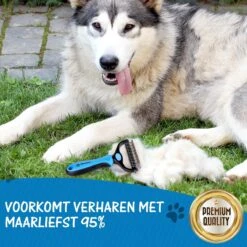 Woodoro 2-Zijdige Kattenkam Voor Ondervacht - Voorkomt Haaruitval - Verwijdert Klitten 16 Woodoro 2-Zijdige Kattenkam Voor Ondervacht - Voorkomt Haaruitval - Verwijdert Klitten -Merkloos Winkel 1200x1200 381