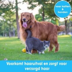 Professionele Ondervacht Kam Voor Hond En Kat S – Hondenborstel – Kattenborstel - Hondenkam –Anti Klit - Haarverwijderaar Voor Huisdieren - Pijnloos - Huisdiervriendelijk – Klittenkam - Voorkomt Haaruitval - Kleine Variant- Black Friday - Sinterklaas 9 Professionele Ondervacht Kam Voor Hond En Kat S – Hondenborstel – Kattenborstel - Hondenkam –Anti Klit - Haarverwijderaar Voor Huisdieren - Pijnloos - Huisdiervriendelijk – Klittenkam - Voorkomt Haaruitval - Kleine Variant- Black Friday - Sinterklaas -Merkloos Winkel 1200x1200 385