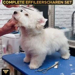Toivo Schaar Voor Dieren - Zilver - Effileerscharen - Honden Scharenset - Dierenschaar - Set 5 Stuks - Trimscharen - Trimset - Uitdunschaar Hond - Schaar Honden -Merkloos Winkel 1200x1200 40