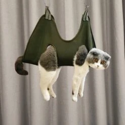 Katten, Honden XS Hangzak Voor Het Makkelijk Knippen Van Nagels, Groen, Green, Maat Extra Small, Waszak, Nagelknippen, Huisdierverzorging | Cat Hangbag | Pet Hangmat | Cat Hammock -Merkloos Winkel 1200x1200 415