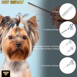 Toivo Schaar Voor Dieren - Zilver - Effileerscharen - Honden Scharenset - Dierenschaar - Set 5 Stuks - Trimscharen - Trimset - Uitdunschaar Hond - Schaar Honden -Merkloos Winkel 1200x1200 43