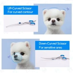 Nobleza Vachtscharen En Kam Set - Scharen Set - Vachtverzorging Set - Scharen Set Voor Honden En Katten 14 Nobleza Vachtscharen En Kam Set - Scharen Set - Vachtverzorging Set - Scharen Set Voor Honden En Katten -Merkloos Winkel 1200x1200 437