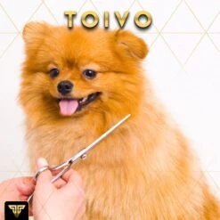 Toivo Schaar Voor Dieren - Zilver - Effileerscharen - Honden Scharenset - Dierenschaar - Set 5 Stuks - Trimscharen - Trimset - Uitdunschaar Hond - Schaar Honden -Merkloos Winkel 1200x1200 44