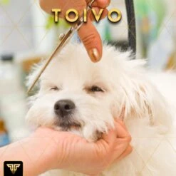 Toivo Schaar Voor Dieren - Zilver - Effileerscharen - Honden Scharenset - Dierenschaar - Set 5 Stuks - Trimscharen - Trimset - Uitdunschaar Hond - Schaar Honden -Merkloos Winkel 1200x1200 45