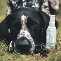 Hondenparfum Spray In 4 Geuren - Greenfields - Alchoholvrije En PH Neutrale Formule Tegen Onaangename Geurtjes - 50ml - Exotic 23 Hondenparfum Spray In 4 Geuren - Greenfields - Alchoholvrije En PH Neutrale Formule Tegen Onaangename Geurtjes - 50ml - Exotic -Merkloos Winkel 1200x1200 458