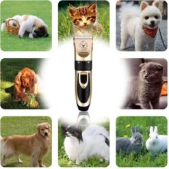 Thuys Hondentondeuse Set Voor Dikke Vacht - Tondeuse Set Voor Honden Draadloos - Set Voor Langharige Honden Met 4 Opzetstukken 12 Thuys Hondentondeuse Set Voor Dikke Vacht - Tondeuse Set Voor Honden Draadloos - Set Voor Langharige Honden Met 4 Opzetstukken -Merkloos Winkel 1200x1200 478