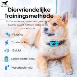 PetFriends Anti Blafband Zonder Schok - Gratis Hondenfluit - USB Oplaadbaar - Anti Blaf Apparaat - Opvoedingshalsband - Voor Grote En Kleine Honden -Merkloos Winkel 1200x1200 500