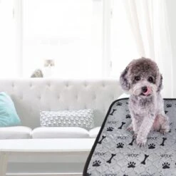 Jooba Puppy Training Pads - Wasbare Puppy Pads 2 Stuks - Hondentoilet - 70x50cm - Puppy -Merkloos Winkel 1200x1200 539