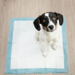 Springos Puppy Training Pads| Plasmatjes Hond | Zindelijkheidstraining | 10 Stuks | 35 X 45 Cm 19 Springos Puppy Training Pads| Plasmatjes Hond | Zindelijkheidstraining | 10 Stuks | 35 X 45 Cm -Merkloos Winkel 1200x1200 556