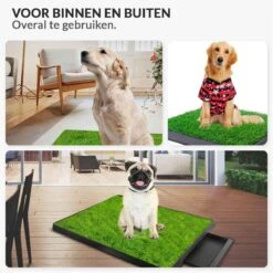 Merkloos Hondentoilet Kunstgras Met Bak - Indoor Dierentoilet - Uitneembare Opvangbak - Puppy Training Pets - Outdoor/Balkon/Tuin/Indoor Toilet - 50x64 Cm -Merkloos Winkel 1200x1200 562