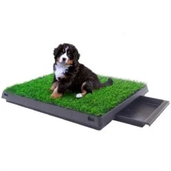 Merkloos Hondentoilet Kunstgras Met Bak - Indoor Dierentoilet - Uitneembare Opvangbak - Puppy Training Pets - Outdoor/Balkon/Tuin/Indoor Toilet - 50x64 Cm -Merkloos Winkel 1200x1200 564