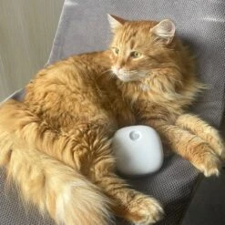 Pettadore Air Insight - Kattenbak Geurverdrijver & Teller - Actieve Zuurstof En Ionen - Oplaadbaar - Met App -Merkloos Winkel 1200x1200 612