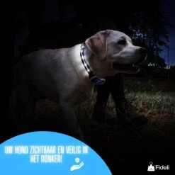 Fideli Anti Blafband - Zonder Schok - Grote En Kleine Honden - Oplaadbaar - LED Verlichte Band 18 Fideli Anti Blafband - Zonder Schok - Grote En Kleine Honden - Oplaadbaar - LED Verlichte Band -Merkloos Winkel 1200x1200 637