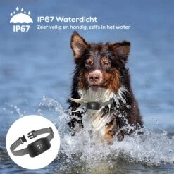 Salvano Anti Blafband - Blafband Voor Honden - Opvoedingshalsbanden - Voor Kleine En Grote Honden - Anti Blafband Zonder Schok- Oplaadbaar - Anti Blaf Apparaat - Blafband - Diervriendelijk -Merkloos Winkel 1200x1200 640