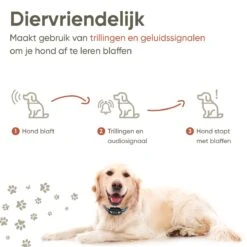 Premium Anti Blafband Apparaat Om Je Hond Snel En Effectief Te Laten Stoppen Met Blaffen - Diervriendelijke Opvoedingshalsband Zonder Schok - Trainingshalsband Voor Grote En Kleine Honden - Anti Blaf Apparaat - Correctie Halsband -Merkloos Winkel 1200x1200 649