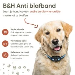 Premium Anti Blafband Apparaat Om Je Hond Snel En Effectief Te Laten Stoppen Met Blaffen - Diervriendelijke Opvoedingshalsband Zonder Schok - Trainingshalsband Voor Grote En Kleine Honden - Anti Blaf Apparaat - Correctie Halsband -Merkloos Winkel 1200x1200 650