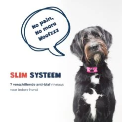 Anti Blafband - Blafband Voor Honden - Anti Blaf Apparaat - Blafband - Diervriendelijk & Zonder Schok 16 Anti Blafband - Blafband Voor Honden - Anti Blaf Apparaat - Blafband - Diervriendelijk & Zonder Schok -Merkloos Winkel 1200x1200 659