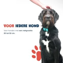 Anti Blafband - Blafband Voor Honden - Anti Blaf Apparaat - Blafband - Diervriendelijk & Zonder Schok 18 Anti Blafband - Blafband Voor Honden - Anti Blaf Apparaat - Blafband - Diervriendelijk & Zonder Schok -Merkloos Winkel 1200x1200 661