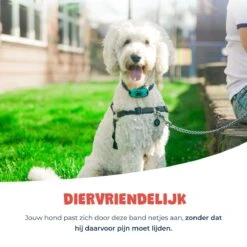 Anti Blafband - Blafband Voor Honden - Anti Blaf Apparaat - Blafband - Diervriendelijk & Zonder Schok 19 Anti Blafband - Blafband Voor Honden - Anti Blaf Apparaat - Blafband - Diervriendelijk & Zonder Schok -Merkloos Winkel 1200x1200 662