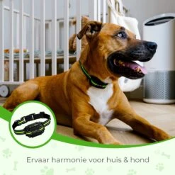 Petz - Anti Blafband - Anti Blafband Voor Kleine En Grote Honden - 5-55 KG - Vibratie En Audio - Diervriendelijk - GEEN Schokken - Opvoedingshalsband Zonder Schok En Diervriendelijk - Waterdicht - Oplaadbaar 13 Petz - Anti Blafband - Anti Blafband Voor Kleine En Grote Honden - 5-55 KG - Vibratie En Audio - Diervriendelijk - GEEN Schokken - Opvoedingshalsband Zonder Schok En Diervriendelijk - Waterdicht - Oplaadbaar -Merkloos Winkel 1200x1200 669
