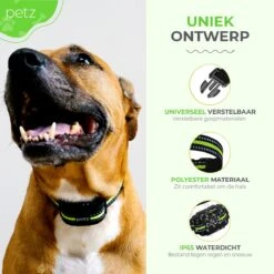 Petz - Anti Blafband - Anti Blafband Voor Kleine En Grote Honden - 5-55 KG - Vibratie En Audio - Diervriendelijk - GEEN Schokken - Opvoedingshalsband Zonder Schok En Diervriendelijk - Waterdicht - Oplaadbaar 14 Petz - Anti Blafband - Anti Blafband Voor Kleine En Grote Honden - 5-55 KG - Vibratie En Audio - Diervriendelijk - GEEN Schokken - Opvoedingshalsband Zonder Schok En Diervriendelijk - Waterdicht - Oplaadbaar -Merkloos Winkel 1200x1200 670