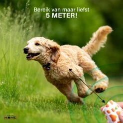 Merkloos LotaHome - Anti Blaf Apparaat - Hondentrainer Voor Binnen En Buiten - Bereik Tot 15 Meter - Diervriendelijk - Zonder Schok - Ultrasone - Voor Alle Honden - Inclusief Clicker -Merkloos Winkel 1200x1200 677