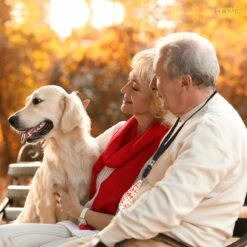 Merkloos LotaHome - Anti Blaf Apparaat - Hondentrainer Voor Binnen En Buiten - Bereik Tot 15 Meter - Diervriendelijk - Zonder Schok - Ultrasone - Voor Alle Honden - Inclusief Clicker -Merkloos Winkel 1200x1200 679