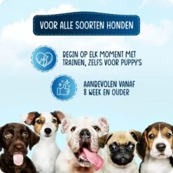 VEDIC® - Luxe Clicker Met Fluit - Clickertraining Voor Honden - Zwart - Bevestigingsring - Fluit - Hondentraining -Merkloos Winkel 1200x1200 726