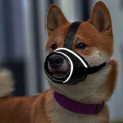 Merkloos Hoog Kwaliteit Muilkorf Met Bedrukt Patroon - Muilkorf Hond - Hondensnuit - Anti Blaf En Bijt - Voor Kleine En Grote Honden Maat M Zwart Reflecterend -Merkloos Winkel 1200x1200 731