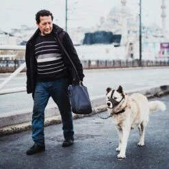 Merkloos Hoog Kwaliteit Muilkorf Met Bedrukt Patroon - Muilkorf Hond - Hondensnuit - Anti Blaf En Bijt - Voor Kleine En Grote Honden Maat M Zwart Reflecterend -Merkloos Winkel 1200x1200 732