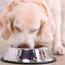 14KG Hayes Brothers Premium Geperst Hondenvoer - Geperste Hondenbrokken Voor Volwassen & Senior Honden -Merkloos Winkel 1200x1200 746