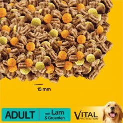 Pedigree Adult Honden Droogvoer - Lam - 10 Kg -Merkloos Winkel 1200x1200 753