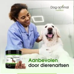 DOG OPTIMAL Gewricht Supplement 120 Stuks - Mobility - Glucosamine Hond - Artrose - Heupdysplasie - Gewrichten - Hondensnacks - Hondenkoekjes - Hondensupplementen - Honden - Puppy - Hondenvoeding -Merkloos Winkel 1200x1200 755