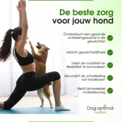 DOG OPTIMAL Gewricht Supplement 120 Stuks - Mobility - Glucosamine Hond - Artrose - Heupdysplasie - Gewrichten - Hondensnacks - Hondenkoekjes - Hondensupplementen - Honden - Puppy - Hondenvoeding -Merkloos Winkel 1200x1200 757
