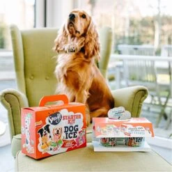 Smoofl Honden Lekkernij - Starter Kit Om Je Eigen Honden Ijs Te Maken, Kit Met 2 Ijsmixen Voor Honden, Pindakaas En Aardbei Smaak, Een Pootvormige Silicone Vorm - Voor 4 Hondenijsjes -Merkloos Winkel 1200x1200 767