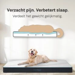 CozySense® - Orthopedisch Hondenkussen - Hondenkussen 60 X 40 Cm - Ook Geschikt Als Benchkussen & Hondenbed - Hondenkussen Bank - Traagschuim - Waterdicht - Wasbare Hoes - Maat S 12 CozySense® - Orthopedisch Hondenkussen - Hondenkussen 60 X 40 Cm - Ook Geschikt Als Benchkussen & Hondenbed - Hondenkussen Bank - Traagschuim - Waterdicht - Wasbare Hoes - Maat S -Merkloos Winkel 1200x1200 777