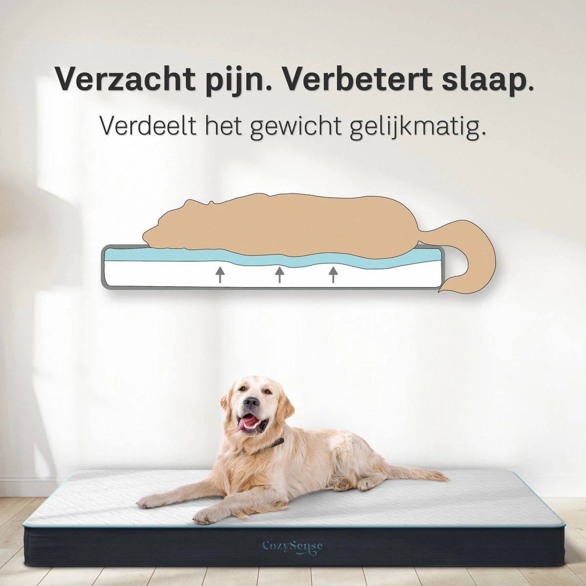 CozySense® - Orthopedisch Hondenkussen - Hondenkussen 60 X 40 Cm - Ook Geschikt Als Benchkussen & Hondenbed - Hondenkussen Bank - Traagschuim - Waterdicht - Wasbare Hoes - Maat S 5 CozySense® - Orthopedisch Hondenkussen - Hondenkussen 60 X 40 Cm - Ook Geschikt Als Benchkussen & Hondenbed - Hondenkussen Bank - Traagschuim - Waterdicht - Wasbare Hoes - Maat S - Afbeelding 3