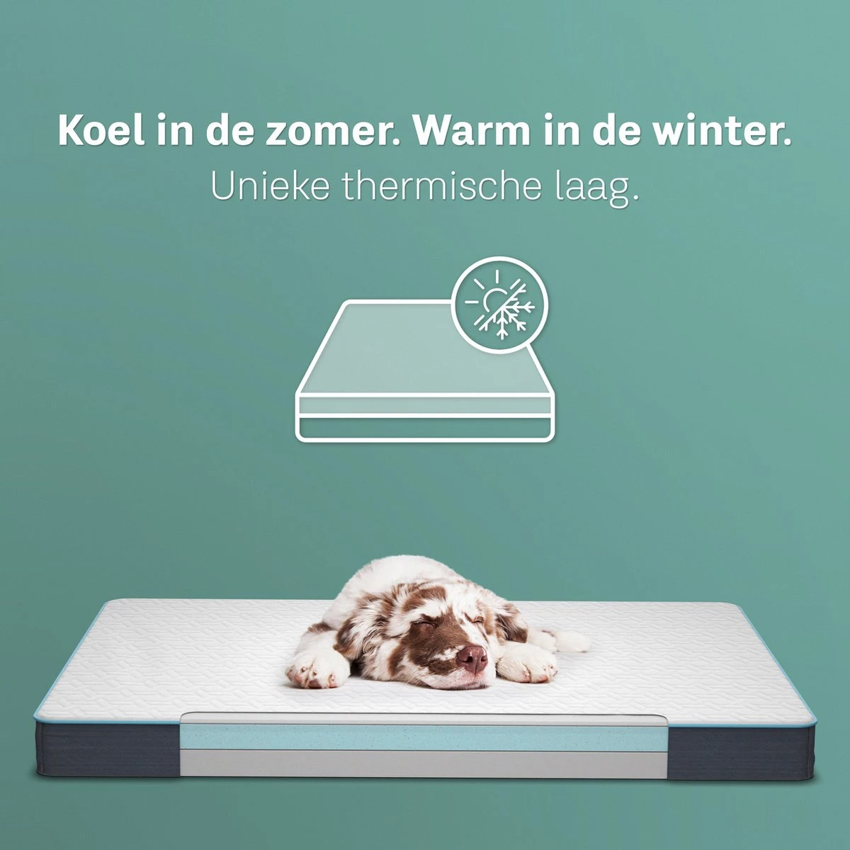 CozySense® - Orthopedisch Hondenkussen - Hondenkussen 60 X 40 Cm - Ook Geschikt Als Benchkussen & Hondenbed - Hondenkussen Bank - Traagschuim - Waterdicht - Wasbare Hoes - Maat S 6 CozySense® - Orthopedisch Hondenkussen - Hondenkussen 60 X 40 Cm - Ook Geschikt Als Benchkussen & Hondenbed - Hondenkussen Bank - Traagschuim - Waterdicht - Wasbare Hoes - Maat S - Afbeelding 4