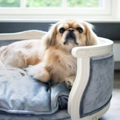 Lord Lou - George Roze Velvet S - Luxe Hondenmand - Luxe Kattenmand - 49x40x31 -Merkloos Winkel 1200x1200 784